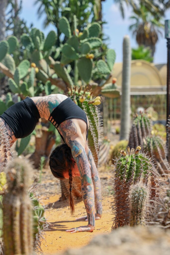 Discover the Best Ashtanga Yoga Classes in Portland